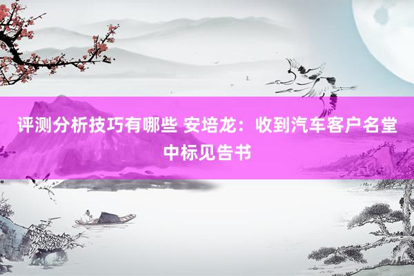 评测分析技巧有哪些 安培龙：收到汽车客户名堂中标见告书