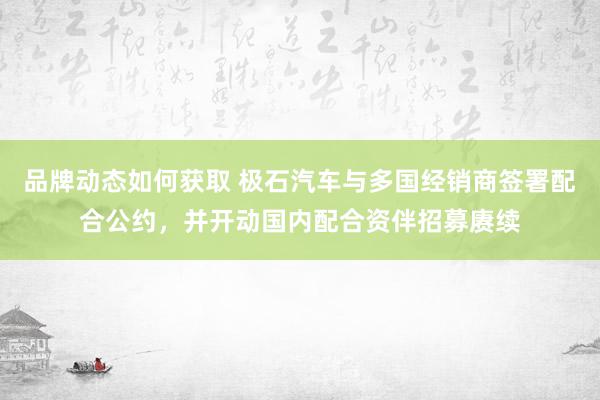 品牌动态如何获取 极石汽车与多国经销商签署配合公约，并开动国内配合资伴招募赓续