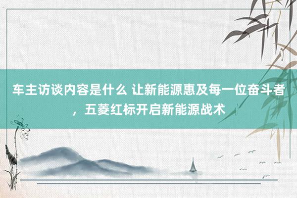 车主访谈内容是什么 让新能源惠及每一位奋斗者，五菱红标开启新能源战术