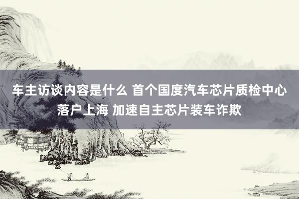 车主访谈内容是什么 首个国度汽车芯片质检中心落户上海 加速自主芯片装车诈欺