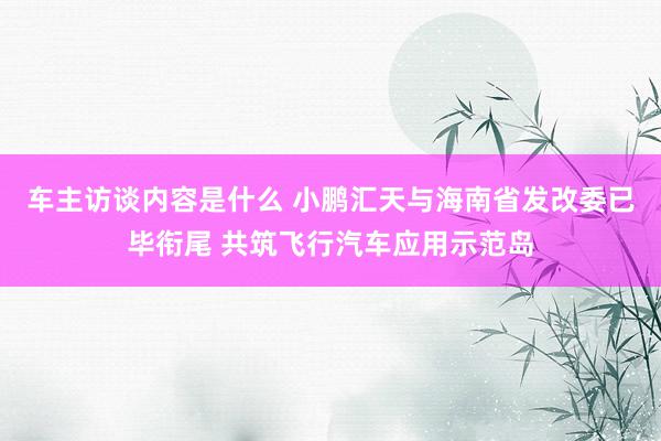 车主访谈内容是什么 小鹏汇天与海南省发改委已毕衔尾 共筑飞行汽车应用示范岛