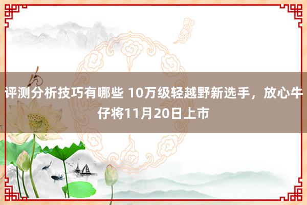 评测分析技巧有哪些 10万级轻越野新选手，放心牛仔将11月20日上市