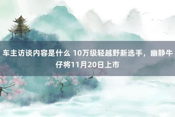 车主访谈内容是什么 10万级轻越野新选手，幽静牛仔将11月20日上市